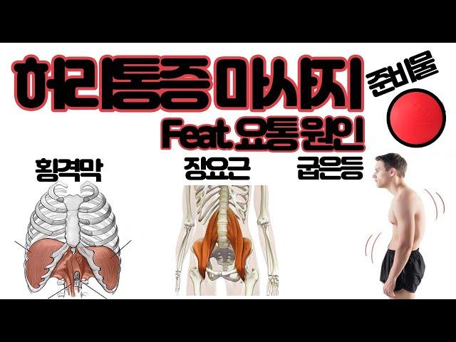 허리통증 마사지 포인트 3가지. Feat.요통 원인, 셀프마사지