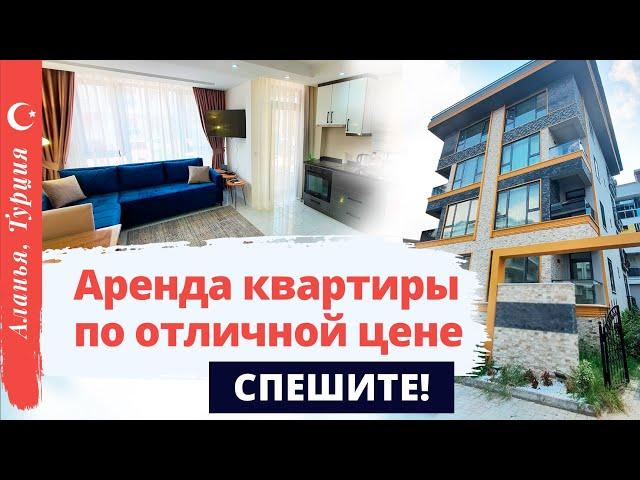 Снять квартиру в Алании. Аренда квартиры в Алании. Снять квартиру в Турции Алания. Отдых в Турции