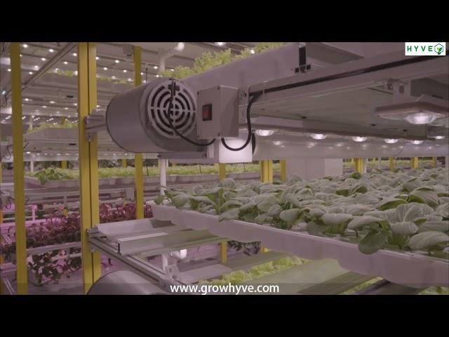 HYVE Indoor Farming Systems Plant Factory