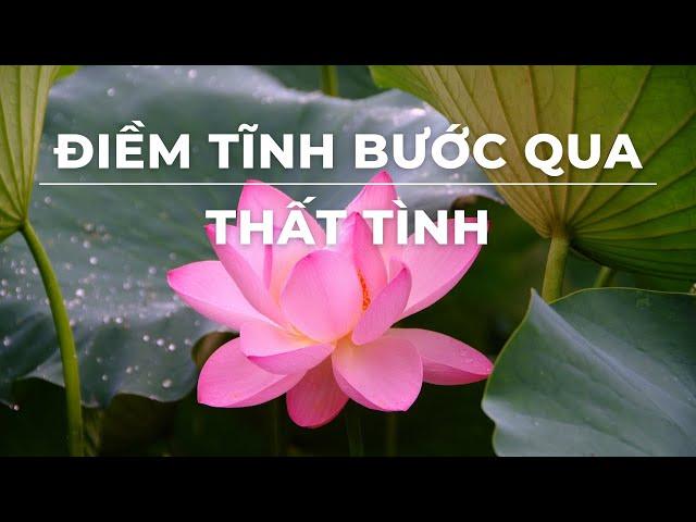 Làm sao vượt qua nỗi đau thất tình? | Khi ly biệt trở thành người thầy vĩ đại nhất của tình yêu