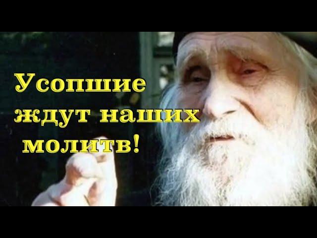 Усопшие ждут наших молитв! Старец Николай Гурьянов