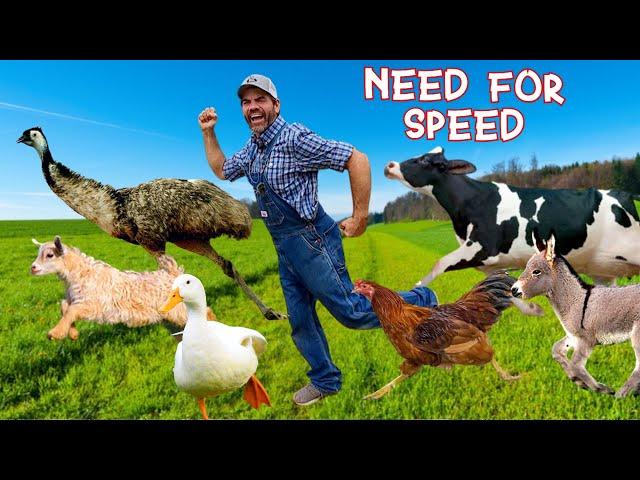 Who's the Fastest Animal on the Farm?  (Educational Farm Video For Kids)