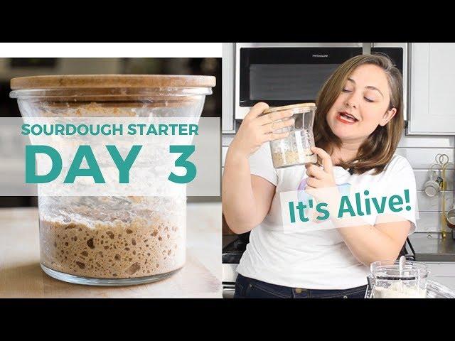 Day 3: How to Make a Sourdough Starter