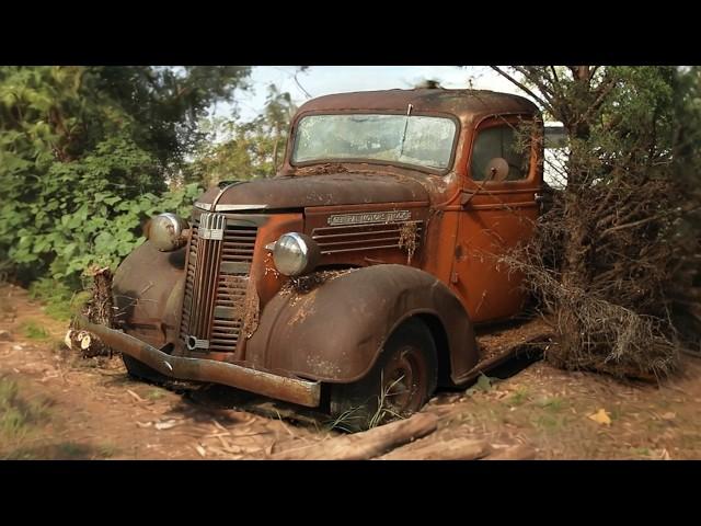 Abandoned Classics Cut from Trees After 30 Years | Overtaken by Nature | RESTORED