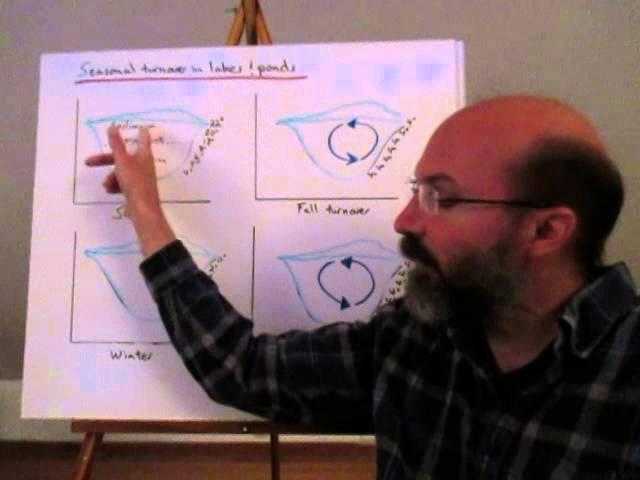 aquatic systems