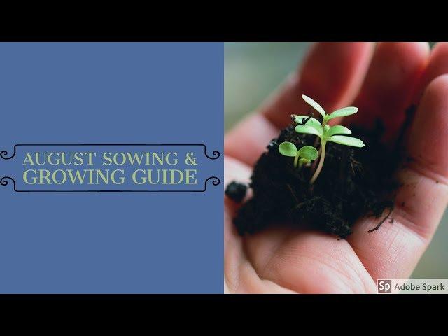 August Sowing & Growing Guide