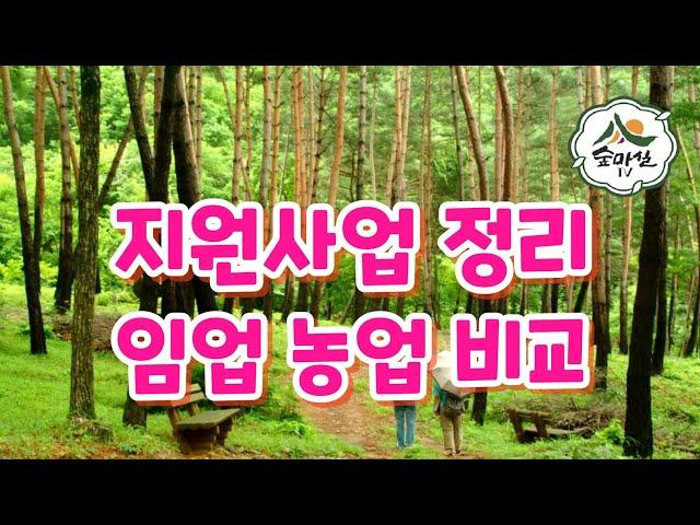 임업인지원사업 임업 과 농업 비교  산림 임업 농업 사유림경영소득 6차산업 임업후계자 독림가 임산물 귀농귀촌정보 산림경영 임업멘토 산림조합 숲해설사 숲경영체험림 임업직불금