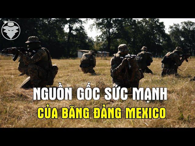 Nguồn Gốc Sức Mạnh Đáng Sợ Của Các Băng Đảng Ma Túy Mexico