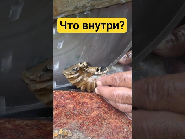 Вскрыл аммонит #камнемания #минералы #самоцветы #окаменелости #handmade #fossils #fossil #gold