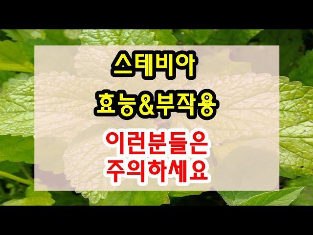 스테비아 효능과 부작용 잘 알고 드셔야해요~