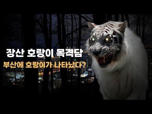 1992.05 South Korea Busan Jangsan Mountain Mystery Tiger Witness Story