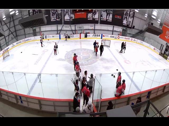 Crazy Beer League Hockey Fight