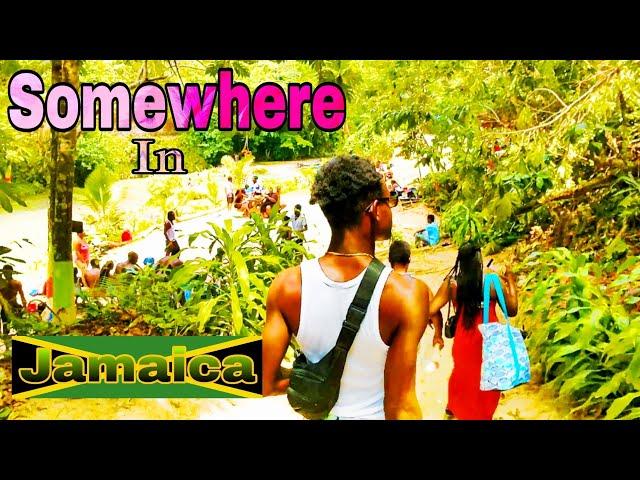 Off Grid In The Jungle | A Beautiful Oasis #nature #jamaica