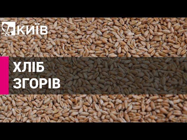 Росіяни знищили у Миколаєві другий за величиною зерновий термінал в Україні