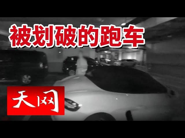 《天网》辽宁一车主报警称：“自己的保时捷跑车篷布被划！”20241224