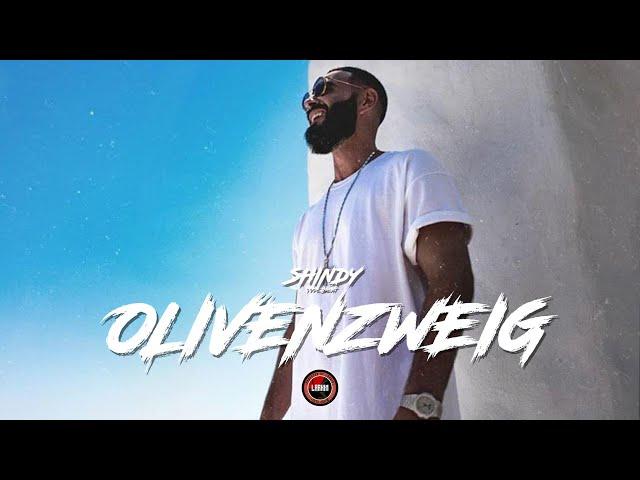 SHINDY Type Beat  - "OLIVENZWEIG" (prod. by Larkin) | 2024