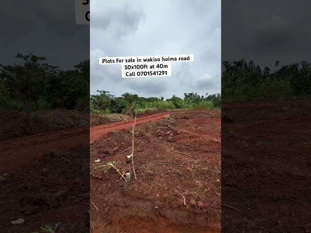 Plots for sale in wakiso hoima road 50x100ft title at 40million. Call 0701541291