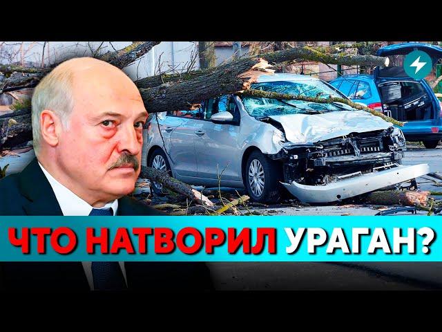 Беларусь накрыла стихия: серьезный урон! Предупреждение синоптиков: расслабляться рано! // Новости