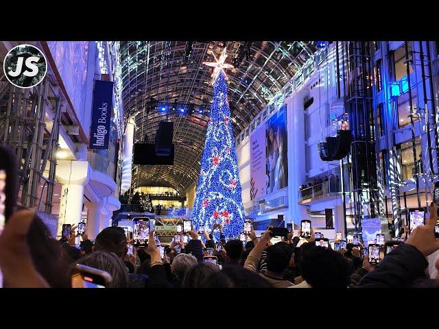 The Underground PATH & Eaton Centre Christmas Tree Unveiling (Nov 2024)