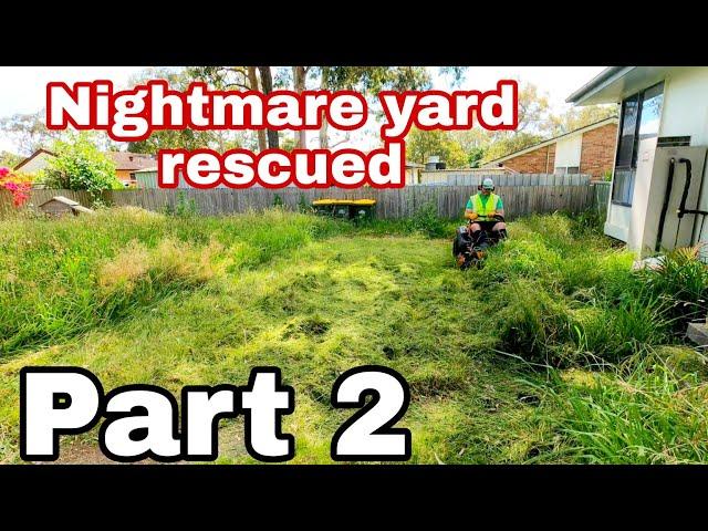 Part 2 MASSIVELY OVERGROWN YARD TRANSFORMED!