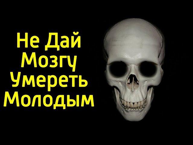 Не дай своему мозгу умереть молодым – Как сохранить мозг здоровым и стать умным на всю жизнь