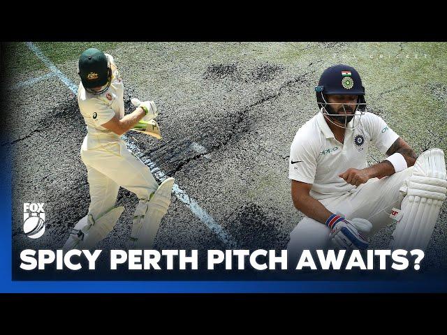 'I think the Aussies will clean up India in Perth within 4 days'  I Fox Cricket