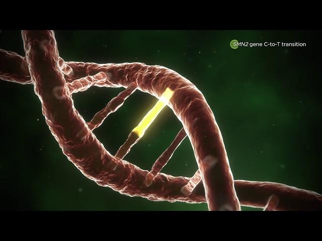 Mechanism of Disease: SMA
