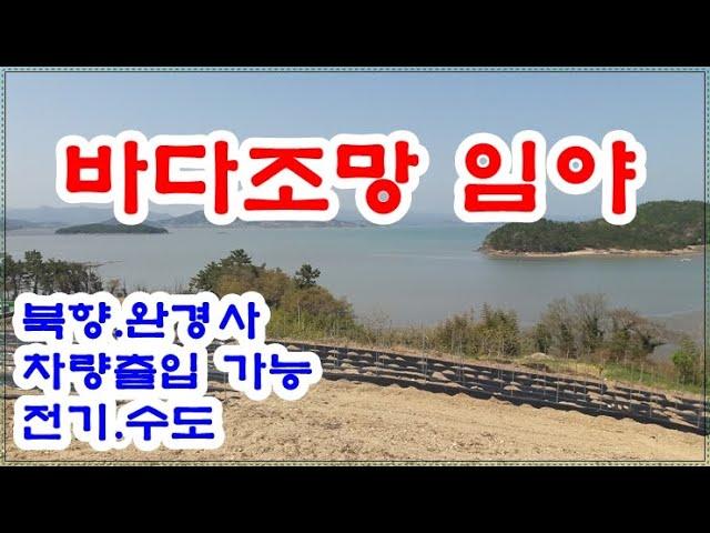 고흥군 임야 1억 5천만원 / 과역면 백일리 북향의 바다뷰가 멋진 야산 2필지 9,917 ㎡(약3,000)