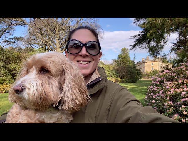 Spring is beginning at Exbury Gardens: pre-opening tour