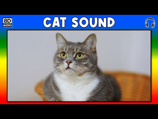  CAT SOUND - CAT SOUND EFFECT - SOUND OF CAT - NOISE OF CAT