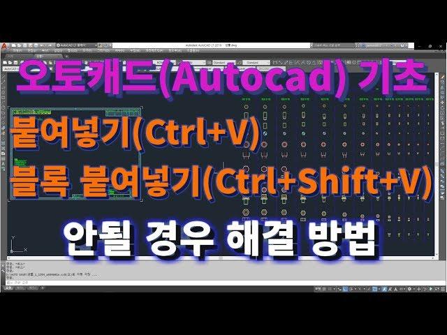 [오토캐드 초보탈출] 오토캐드 기초 붙여넣기(Ctrl+V), 블록 붙여넣기(Ctrl+Shift+V)가 안될때 해결방법 l 설쟁디제이