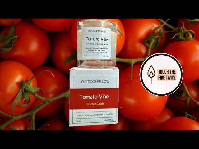 Tomato Vine Candle Review | Outdoor Fellow Brand Introduction | TouchTheFireTwice