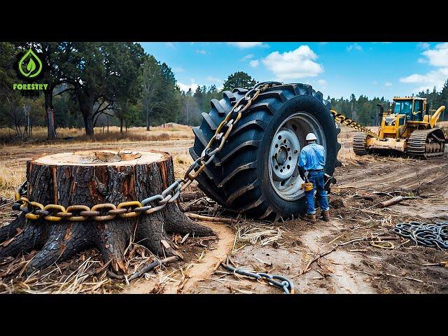 Extreme Dangerous Fastest Big Chainsaw Cutting Tree Machines | Monster Stump Removal Excavator #77