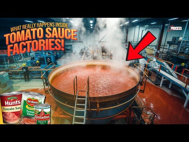 How Tomato Sauce is Made in Factories | How Factories Pump Out Millions of Tomato Sauce Jars