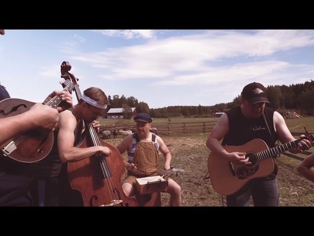 Gimme All Your Lovin' by Steve'n'Seagulls (LIVE)