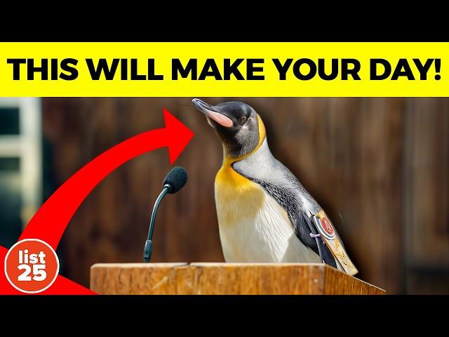 25 Happy Facts That’ll Make Your Day a Little Better