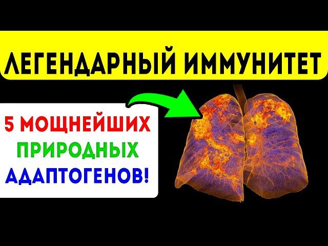 Подними иммунитет на новый уровень! Адаптогены