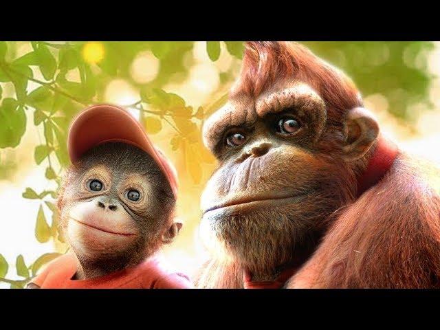 Super Smash Bros. Ultimate for PC