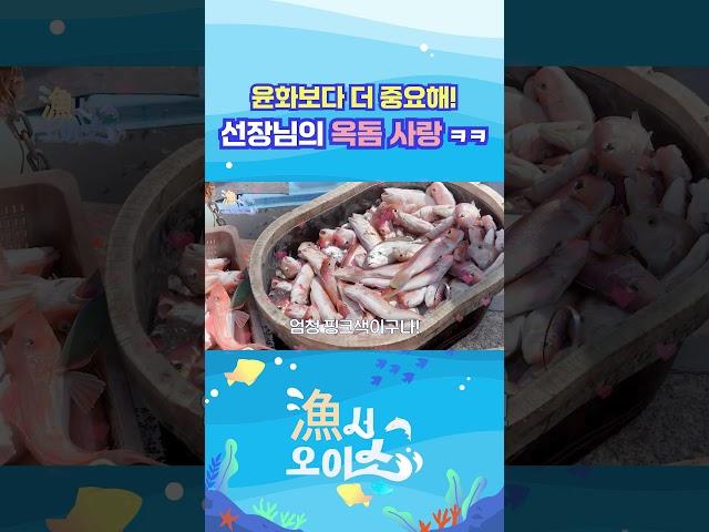 [漁서오이소] 선장님의 핑크빛 옥돔을 향한 핑크빛 사랑