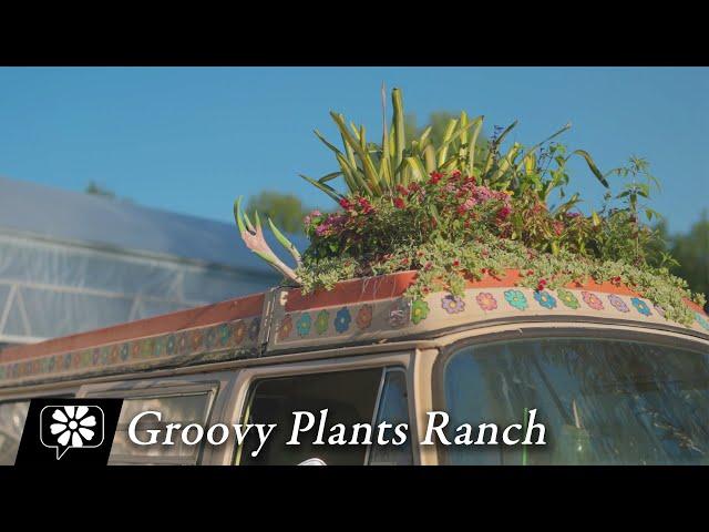 Groovy Plants Ranch