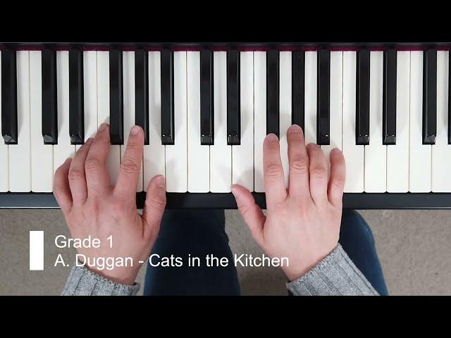 Cats in the Kitchen (A. Duggan) RIAM 2024 Grade 1