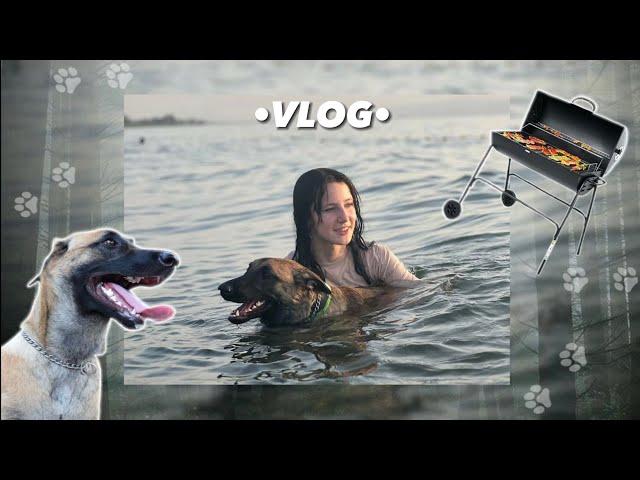 vlog поездка на озеро (с собакой)