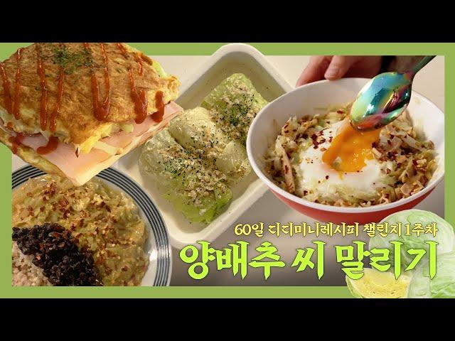 22kg 감량 9년차 유지어터가 배 부르게 살 빠진 일등공신! 양배추로 만드는 맛있는 다이어트 레시피 모음집.