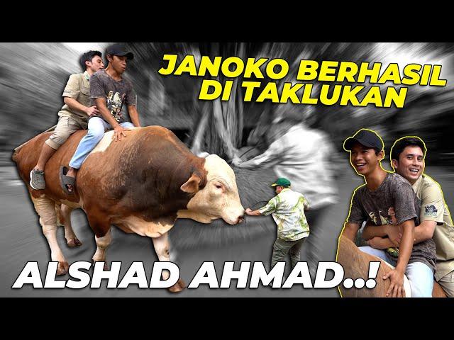 GREGETT..!! ALSHAD AHMAD BERHASIL TAKLUKAN JANOKO...!