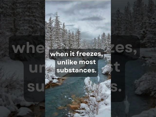 Why ICE Floats & Rocks SINK: Mind-Blowing Science Fact!