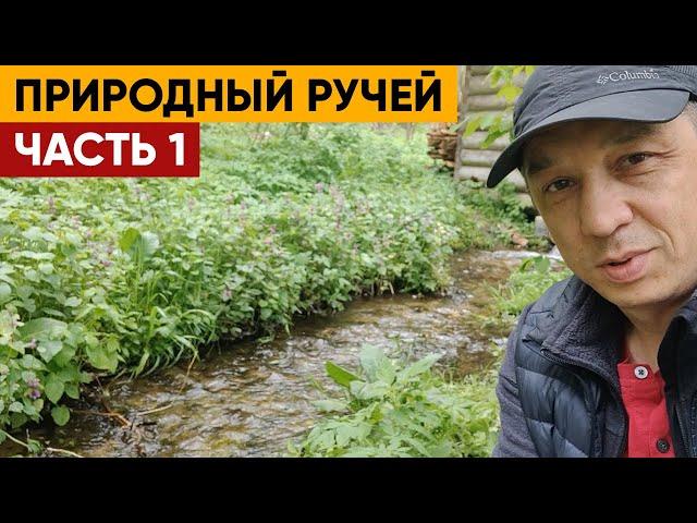 Природный ручей. Часть 1 | Как использовать ручей в строительстве пруда?