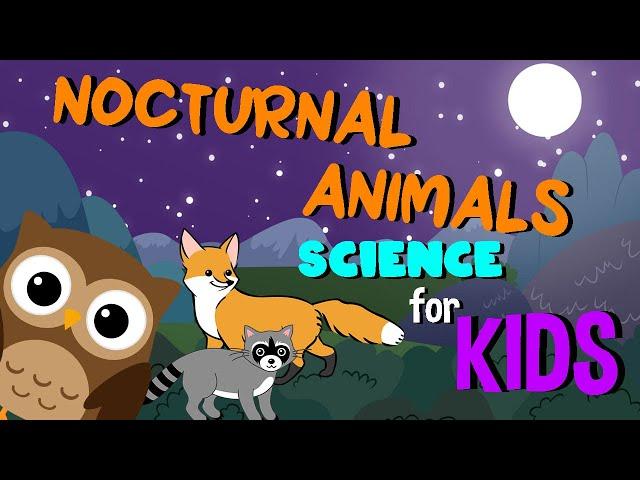 Nocturnal Animals | Science for Kids