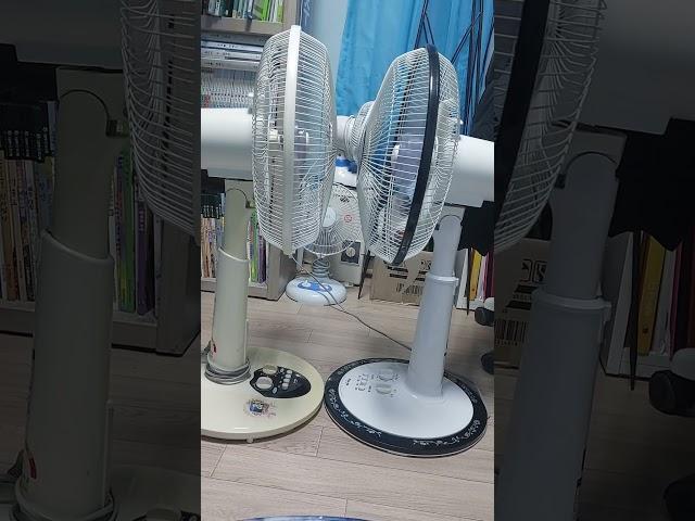 신일선풍기 신일선풍기