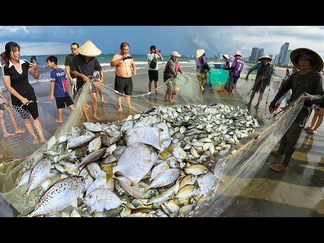 Mừng cho Ngư Dân trúng mẻ cá vàng bội thu tiền triệu tại TP Đà Nẵng