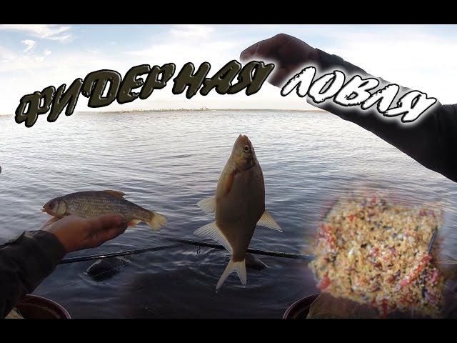 Фидерная ловля. Оснастка для дальнего заброса!?